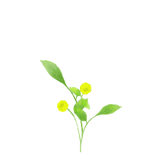 花gif图片_花gif素材_千库网