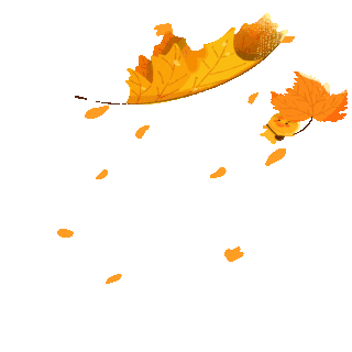 漂浮黄叶图片-漂浮黄叶GIF素材-漂浮黄叶模板图片下载-千库网