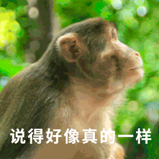 一样丰富表情包设计素材-一样丰富表情包GIF模板下载-千库网