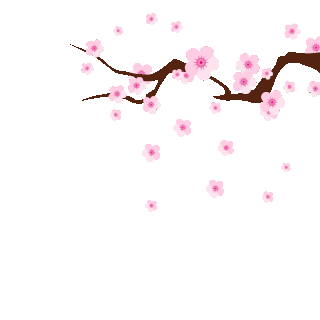 植物花枝落花唯美粉色花瓣花朵花gif图素材gif图片素材下载-千库网