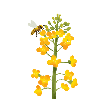 花gif图片_花gif素材_千库网
