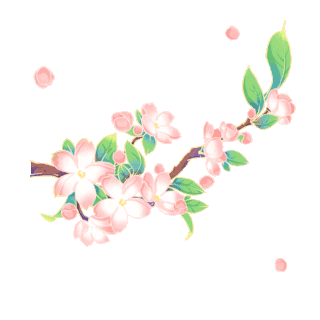 花gif图片_花gif素材_千库网