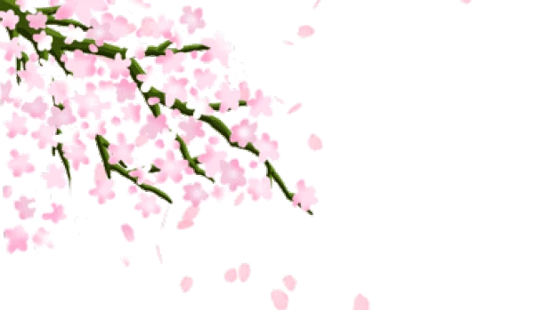 粉色花瓣飘落效果背景