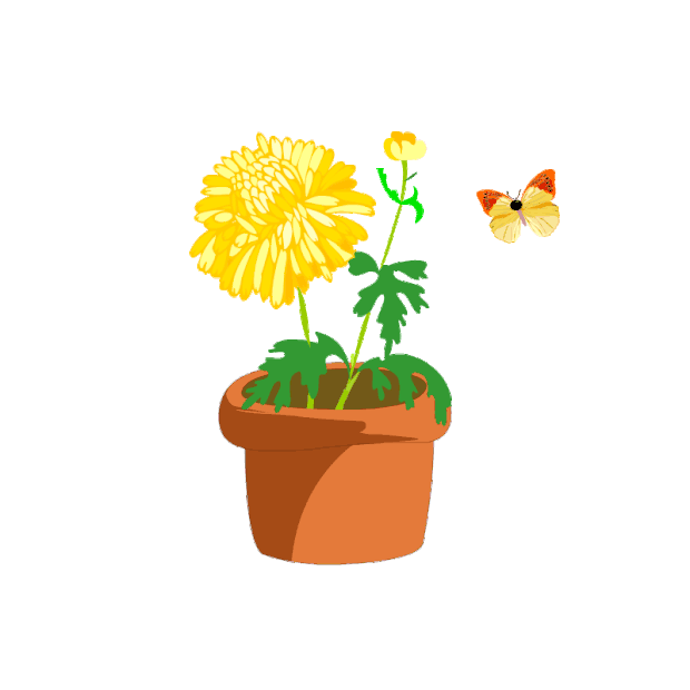 一盆卡通黄色小菊花和飞舞的蝴蝶