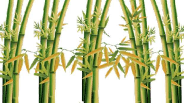 竹子竹叶后期gif图片元素