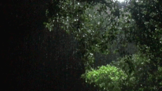 夜晚路灯下的大雨实拍