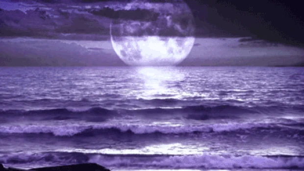 大气海上明月背景