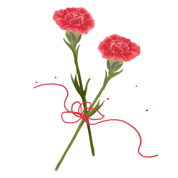 卡通手绘温馨母爱花朵康乃馨