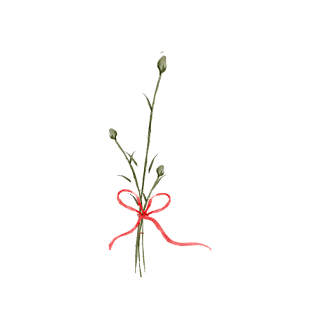 母亲节红色康乃馨花朵gif图素材