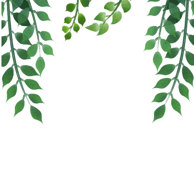 绿色植物叶子边框