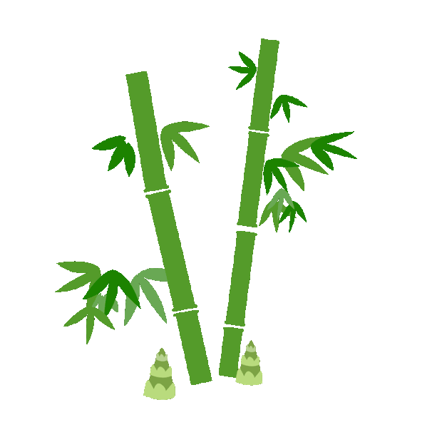 竹子竹叶和小竹笋