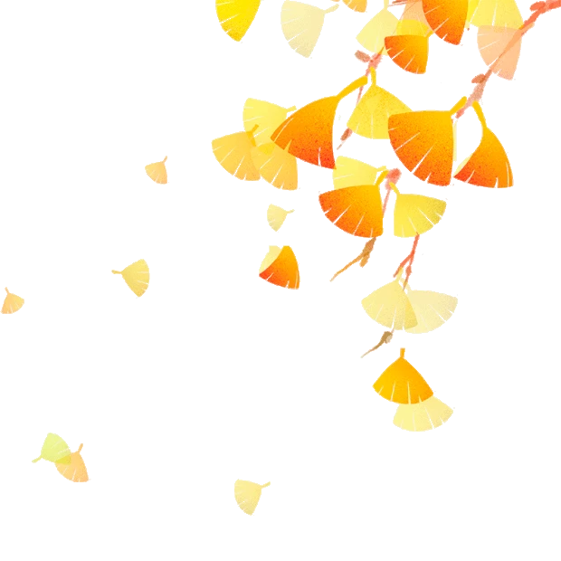金黄色银杏叶树叶植物落叶gif图素材