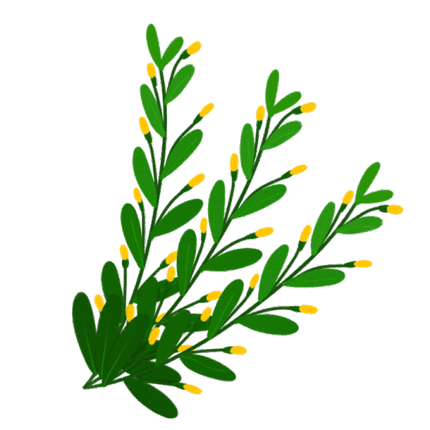 卡通插画植物绿叶叶子