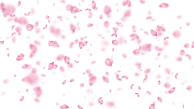 漫天飞舞的粉红桃花花瓣飘落元素