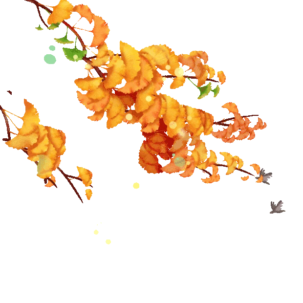 秋季秋天金黄银杏树枝落叶