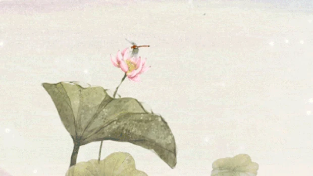 荷花荷叶蜻蜓中国风水墨画背景