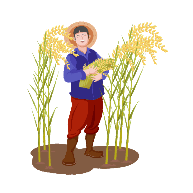芒种彩色农民节喜悦人物小麦装饰扁平风插画芒种