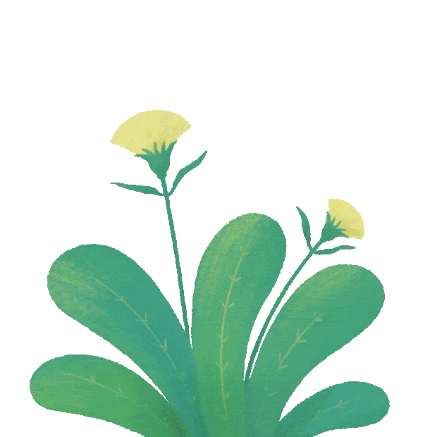 卡通绿色植物绿叶小黄花