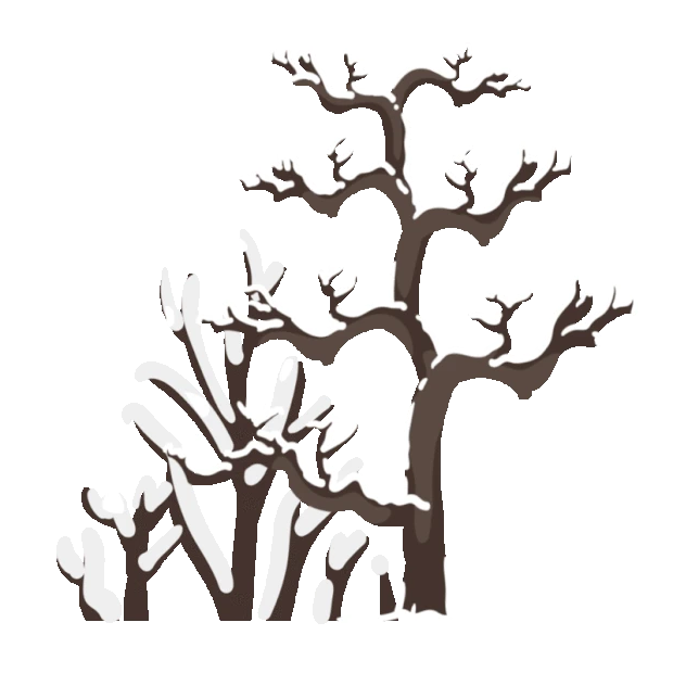 二十四节气寒露冬天冬季下雪雪树上雪掉落树木树枝