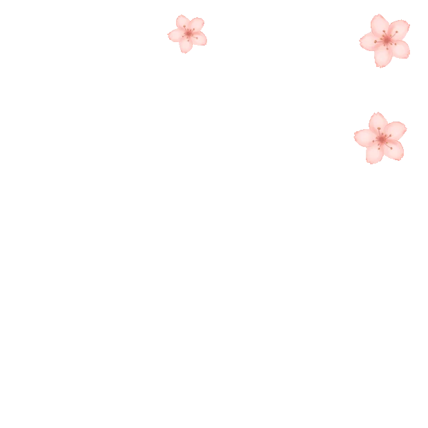 飘落的清新粉色樱花花瓣gif图片