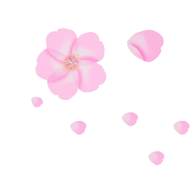 粉色樱花花瓣漂浮飘落装饰gif图片