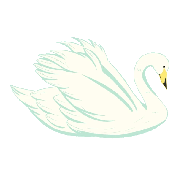 白天鹅展翅天鹅动物鸟类gif图素材