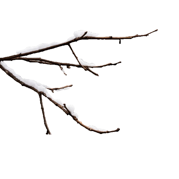 冬天积雪树枝雪景雪冬季枯萎枯树gif图素材
