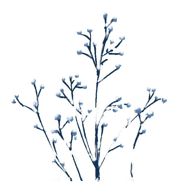 冬天冬季霜降树枝积雪下雪植物gif图素材