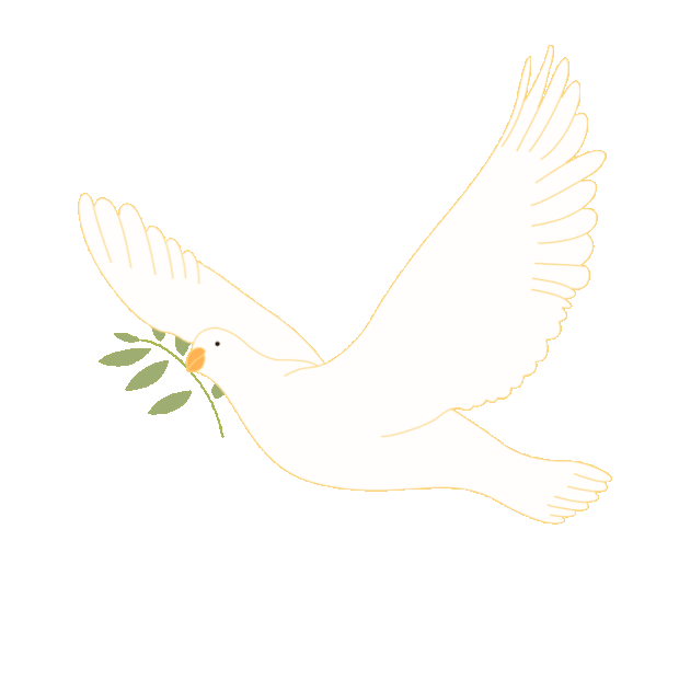 白色鸽子白鸽和平鸽叼着橄榄枝飞翔gif图素材