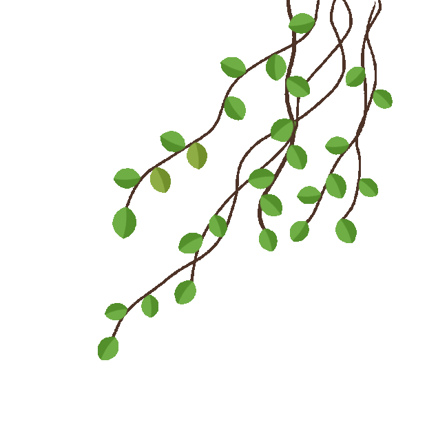 春天植物绿色藤条树枝gif图素材