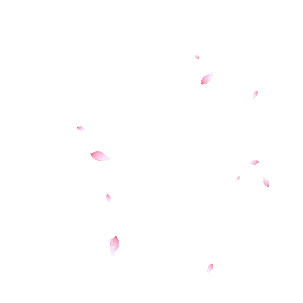 春天花瓣桃花植物漂浮唯美清新粉色gif图素材