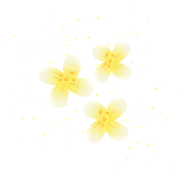 春天花朵桂花vlog贴纸装饰小清新黄色gif图素材
