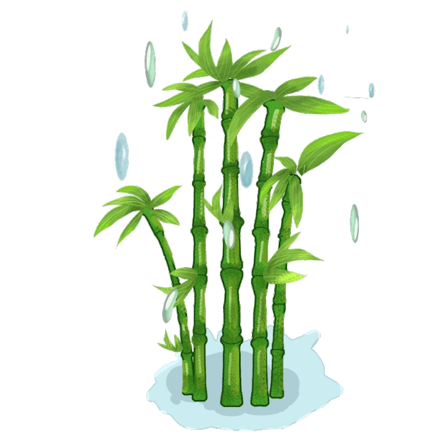 春天谷雨雨水竹子绿色植物gif图素材