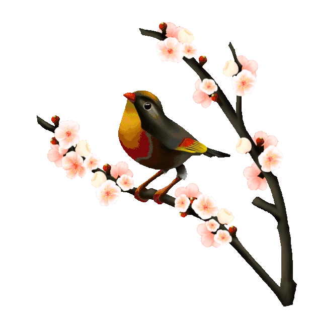 春天春分小鸟树枝枝头花朵卡通gif图素材