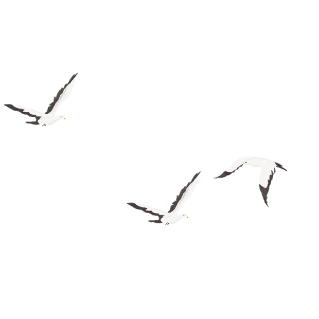 飞鸟鸟群在空中飞翔中国风gif图素材