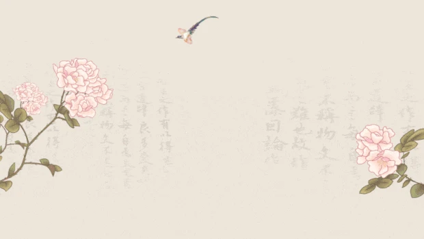 中国风牡丹喜鹊古典视频海报背景gif图素材