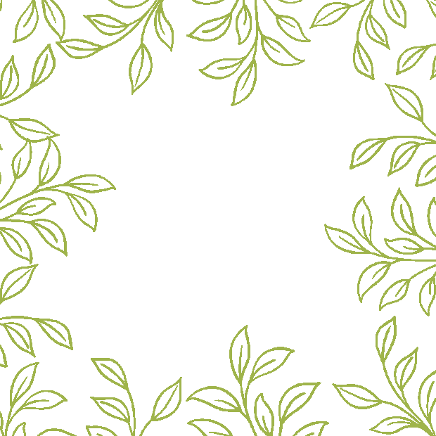 春天春分绿色边框线描植物gif图素材