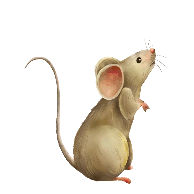 小老鼠写实动物十二生肖gif图素材