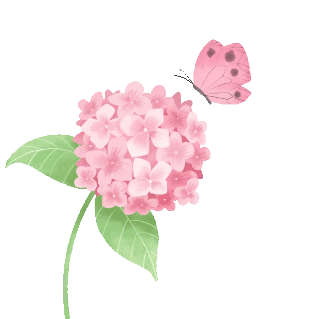 蝴蝶花朵绣球花绿叶植物粉色gif图素材