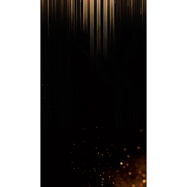 黑金商务大气光效周年庆典竖版视频背景海报gif图素材