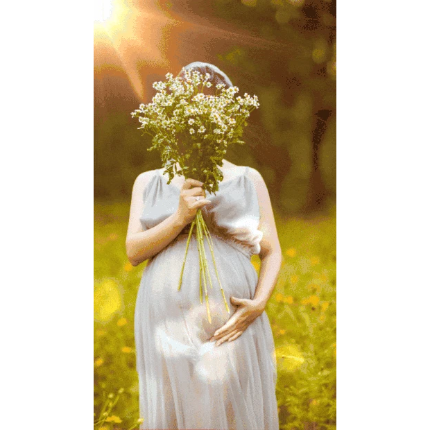 母亲节亲子母婴母爱亲情花丛里的孕妇唯美光效竖版视频背景实景海报gif图素材