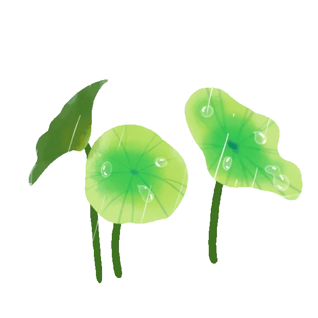 夏天立夏雨中荷叶下雨雨水雨绿色gif图素材