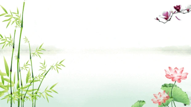 端午节端午清新淡雅竹子荷花山水风景绿色视频背景gif图素材