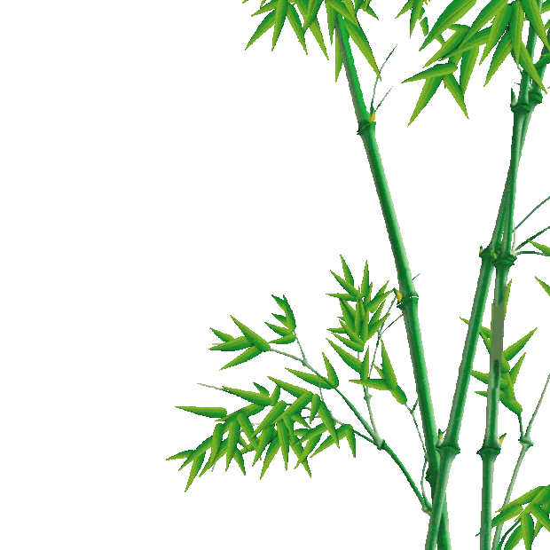 端午节端午绿色竹子植物gif图素材