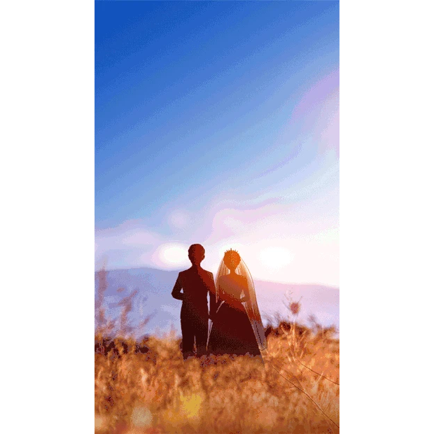 情人节520情侣户外结婚婚纱照实景竖版视频背景海报gif图素材