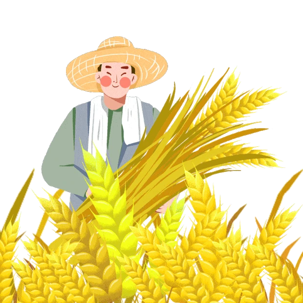芒种麦子麦穗小麦农民gif图素材