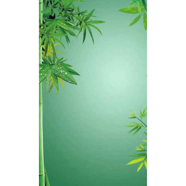 端午节端午竹子竹叶绿色竖版视频背景海报gif图素材