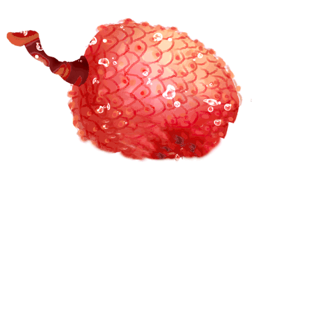 食物美食新鲜水果荔枝写实红色gif图素材