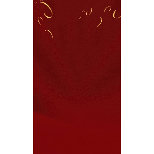 喜庆庆祝礼物彩带气氛氛围红色竖版视频背景海报gif图素材