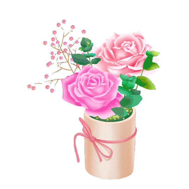 花瓶鲜花植物康乃馨花束gif图素材